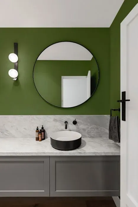 Behr Terrain minimalist bathroom