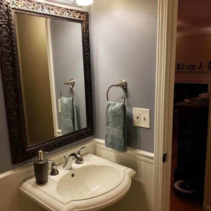 Behr N490-4 bathroom color review