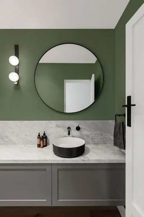 Behr Thai Basil minimalist bathroom