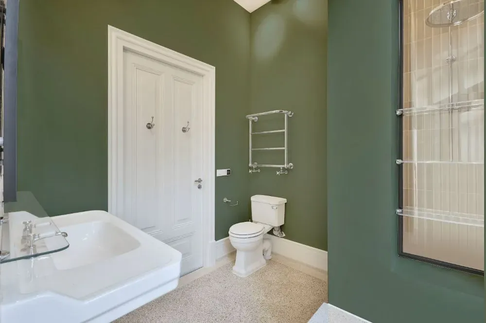 Behr Thai Basil bathroom