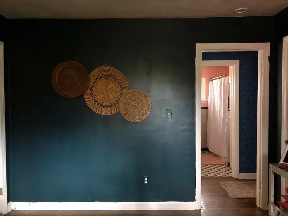 Behr Thermal wall paint color