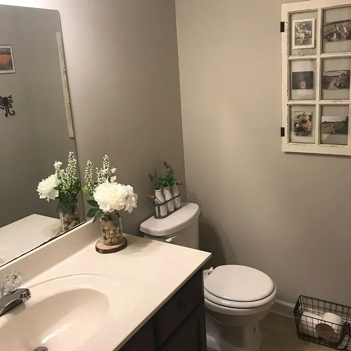 Behr Toasty Gray bathroom color