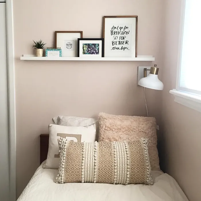 Behr Translucent Silk wall paint review