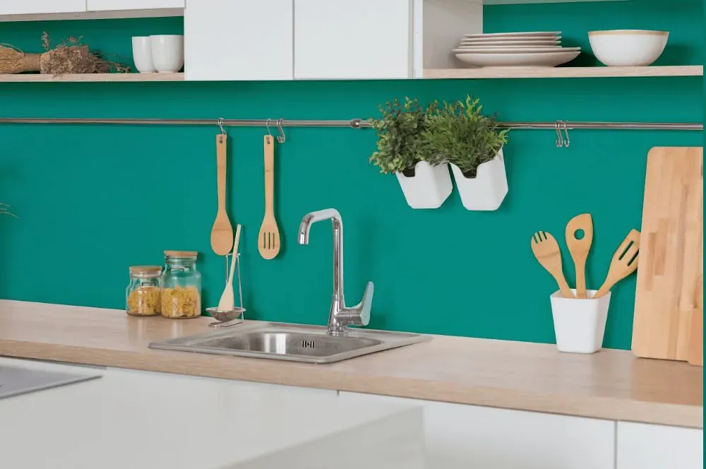 Behr Tropics kitchen backsplash