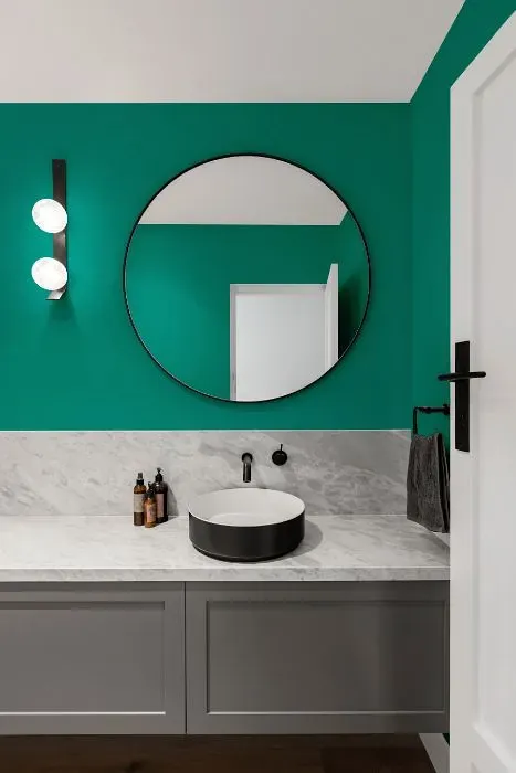 Behr Tropics minimalist bathroom