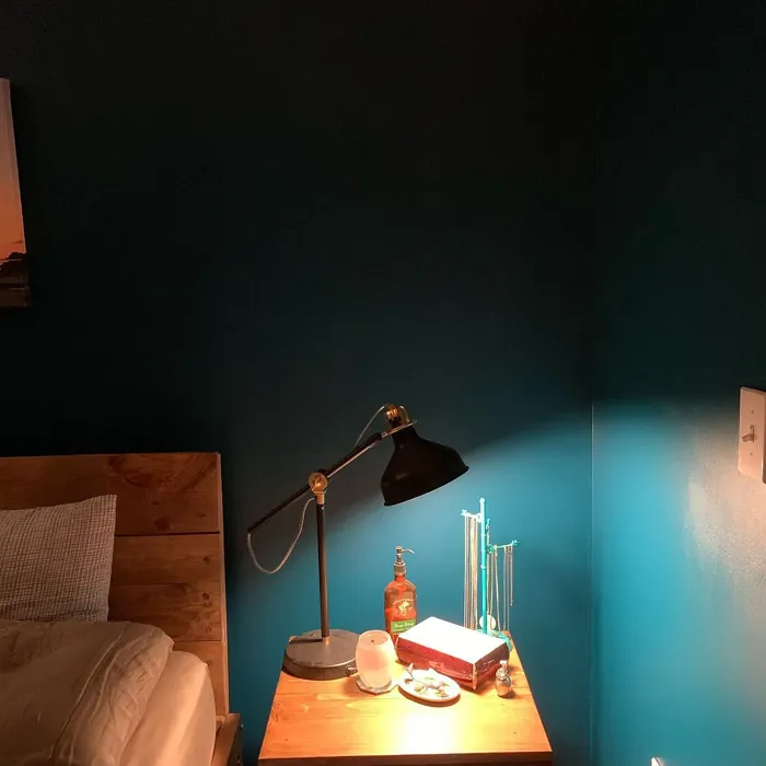 Behr Tsunami bedroom color