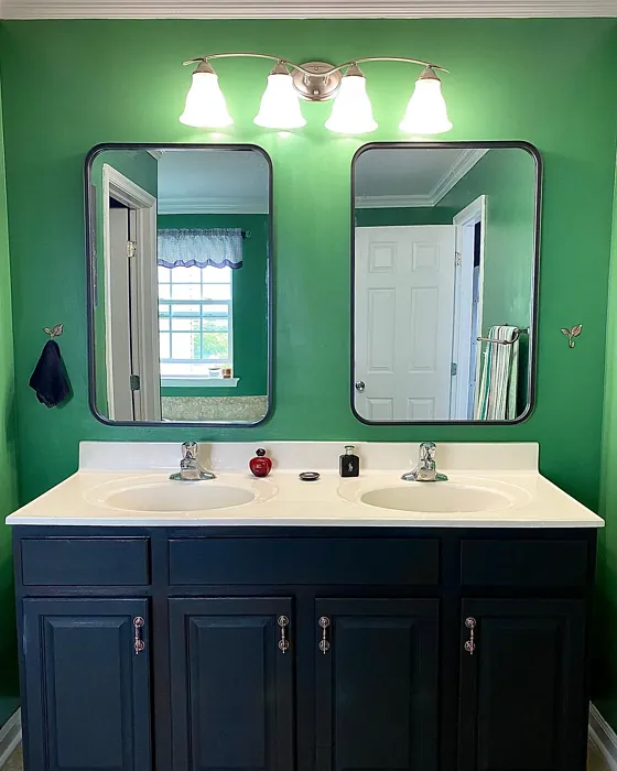 Behr S400-6 bathroom color