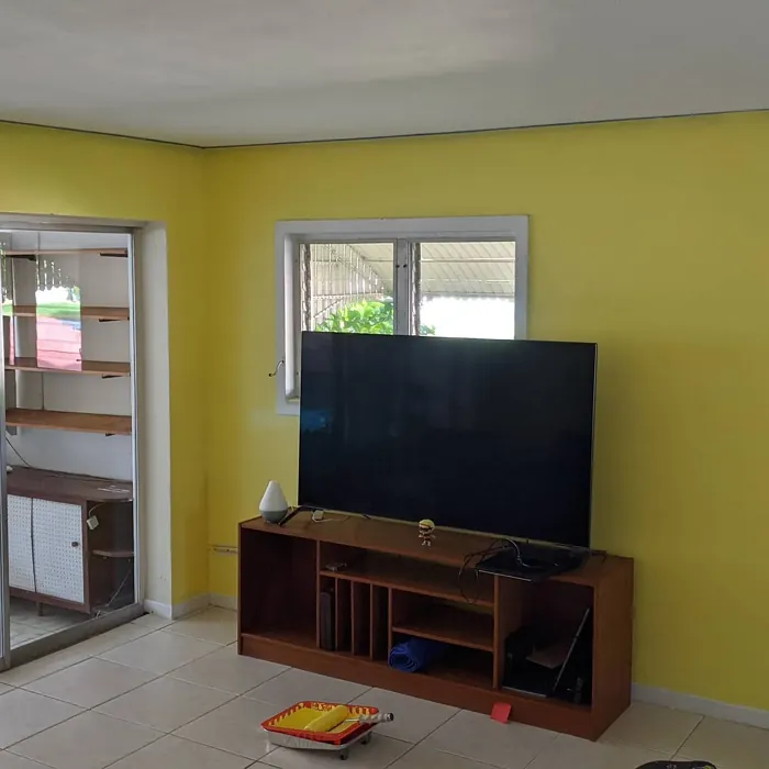 Behr Upbeat wall paint review