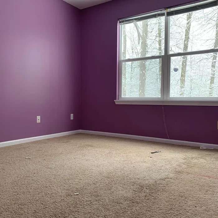 Behr Uptown Girl wall paint color