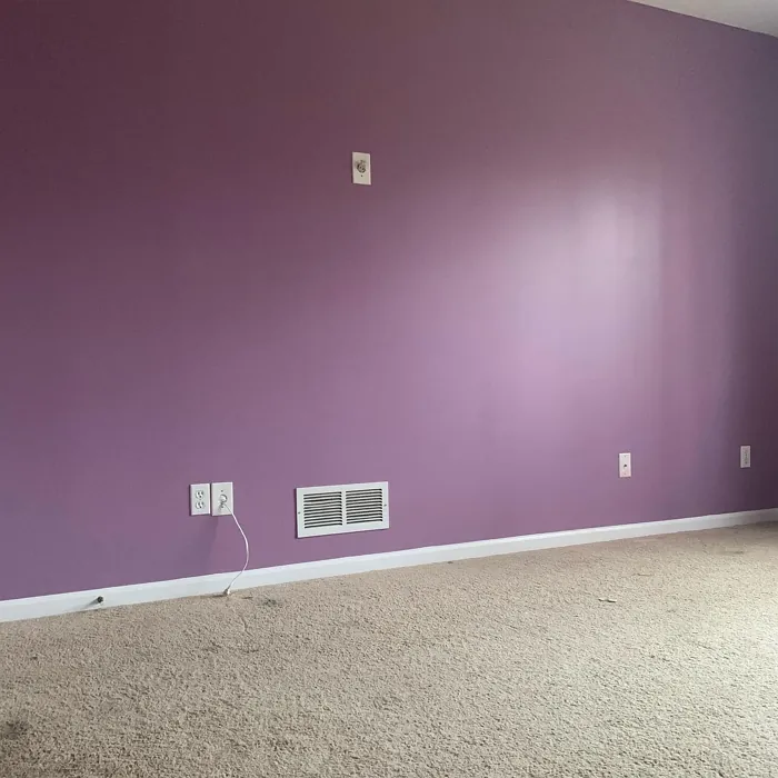 Behr MQ5-33 wall paint color