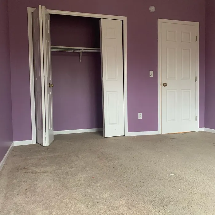 Behr MQ5-33 wall paint 