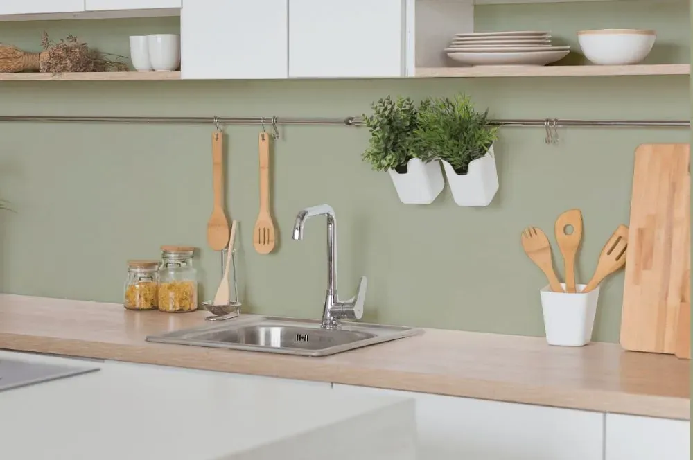 Behr Urban Nature kitchen backsplash