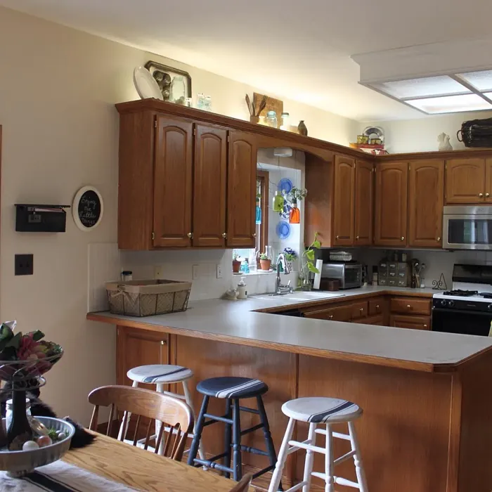 Behr Varnished Ivory kitchen interior