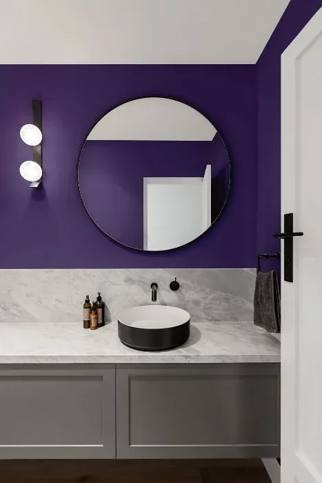 Behr Vigorous Violet minimalist bathroom