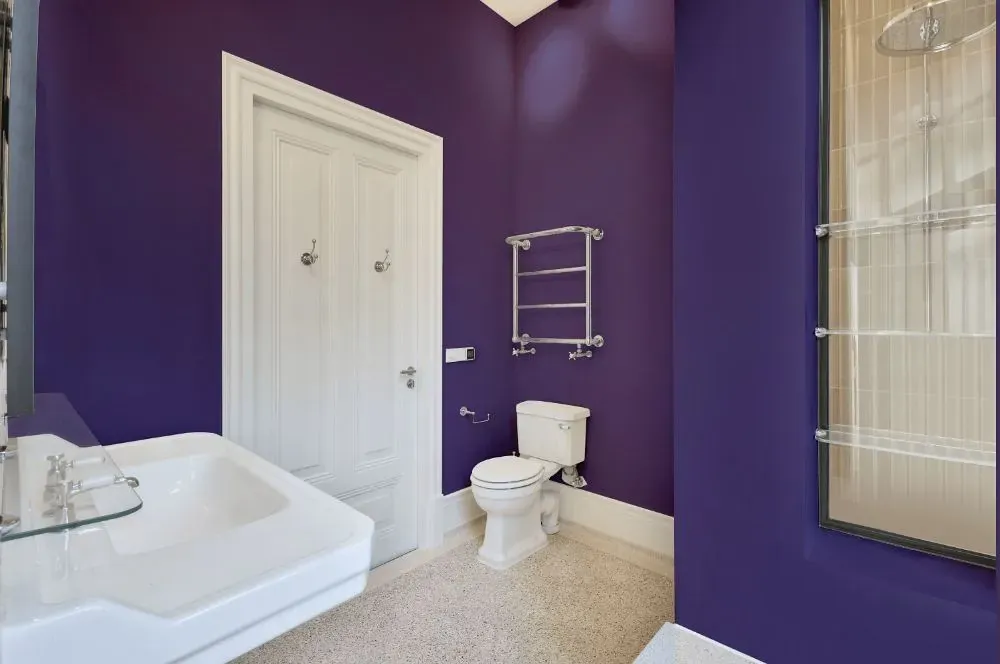 Behr Vigorous Violet bathroom