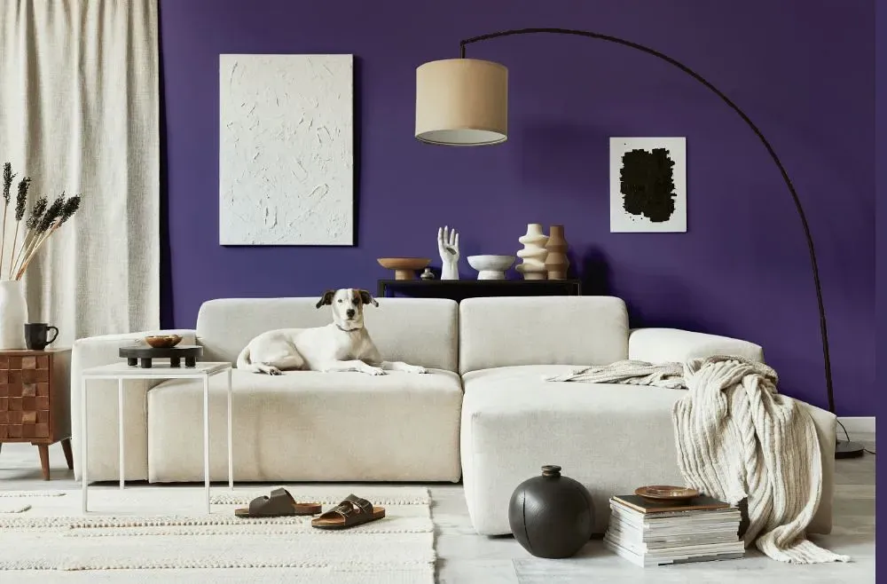 Behr Vigorous Violet cozy living room