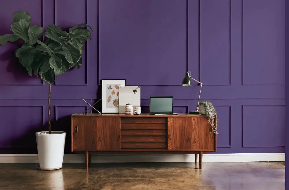 Behr Vigorous Violet modern interior