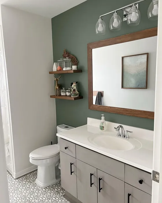 Behr Village Green bathroom accent wall