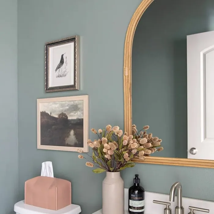 Behr Village Green bathroom color