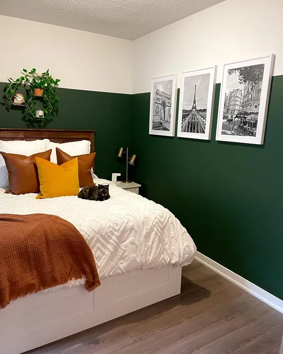 Behr Vine Leaf bedroom color block