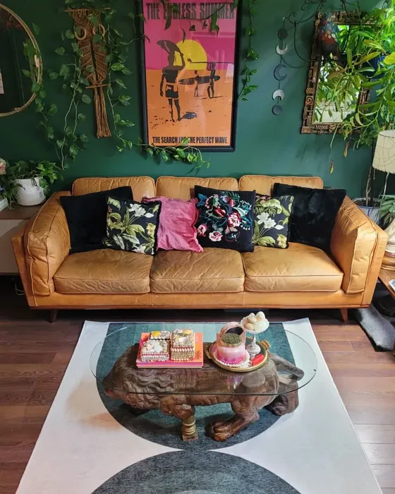 Behr Vine Leaf living room paint
