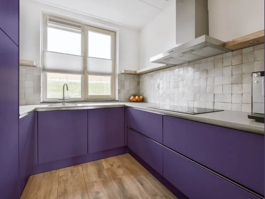 Behr Violet Vixen small kitchen cabinets
