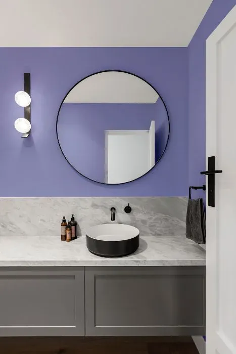 Behr Water Hyacinth minimalist bathroom