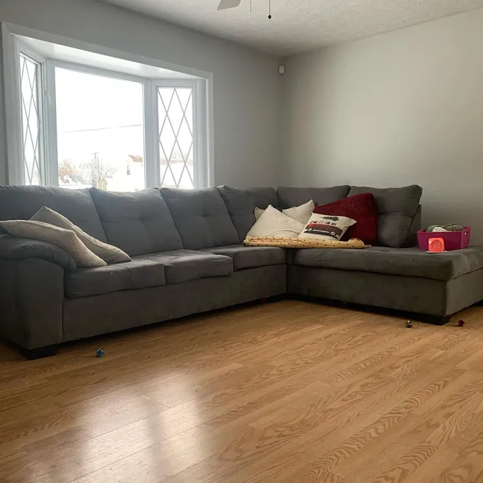 Behr Whitewash Oak living room review