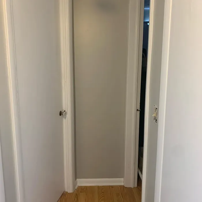 Behr Whitewash Oak hallway review