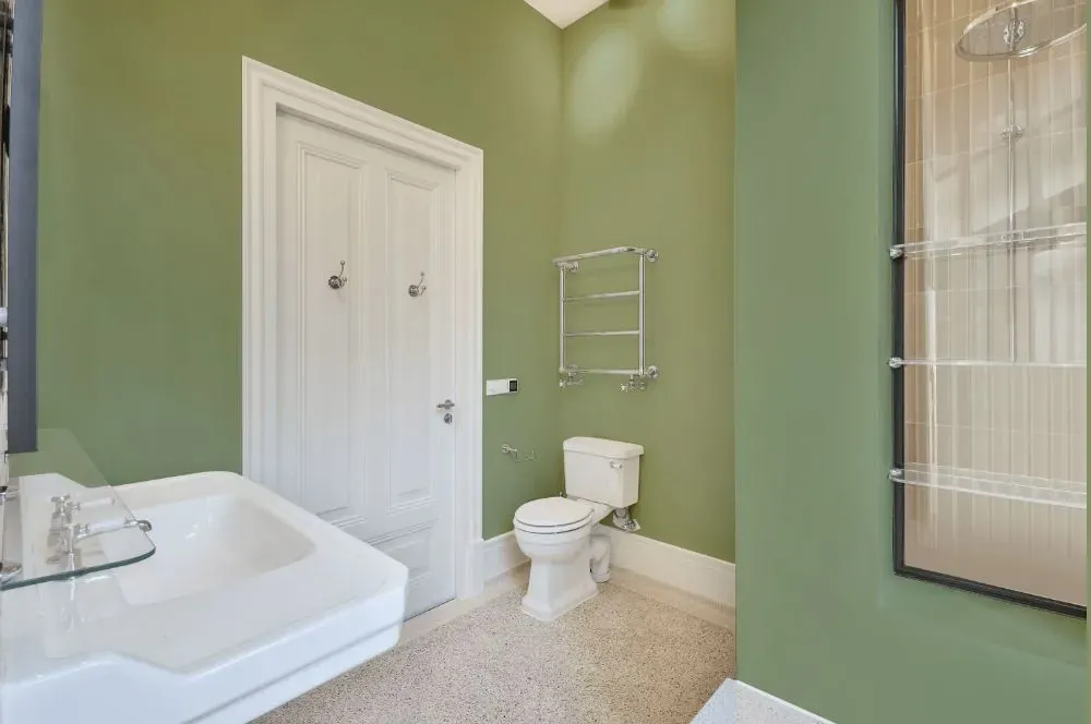 Behr Willow Grove bathroom