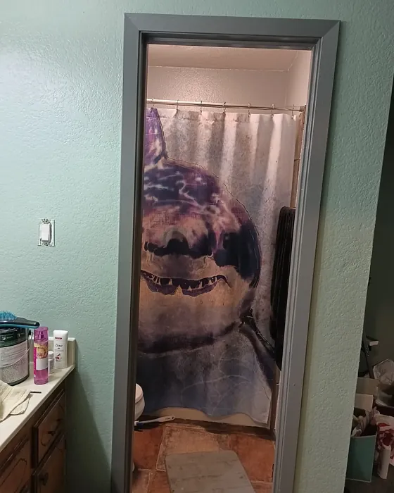 Behr Zen bathroom color