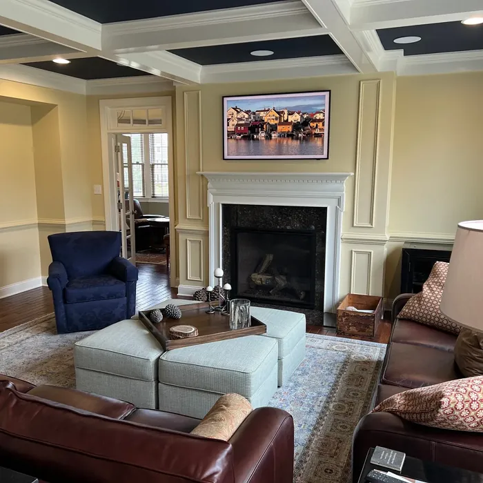 Sherwin Williams Believable Buff Living Room