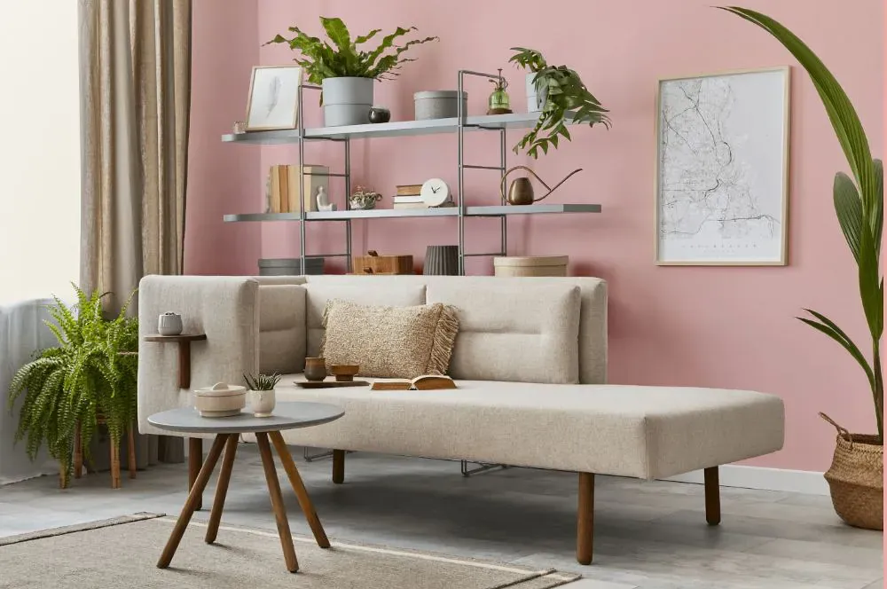 Sherwin Williams Bella Pink living room