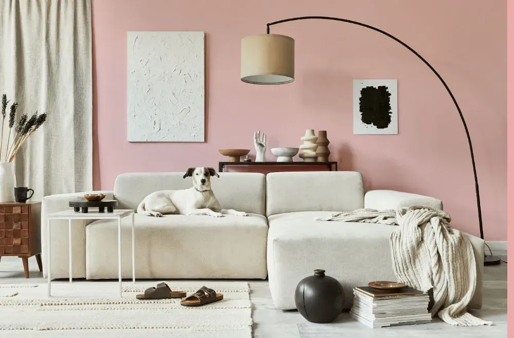Sherwin Williams Bella Pink cozy living room