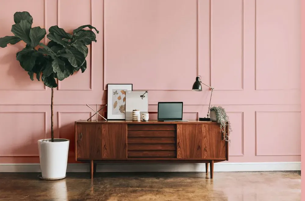 Sherwin Williams Bella Pink modern interior