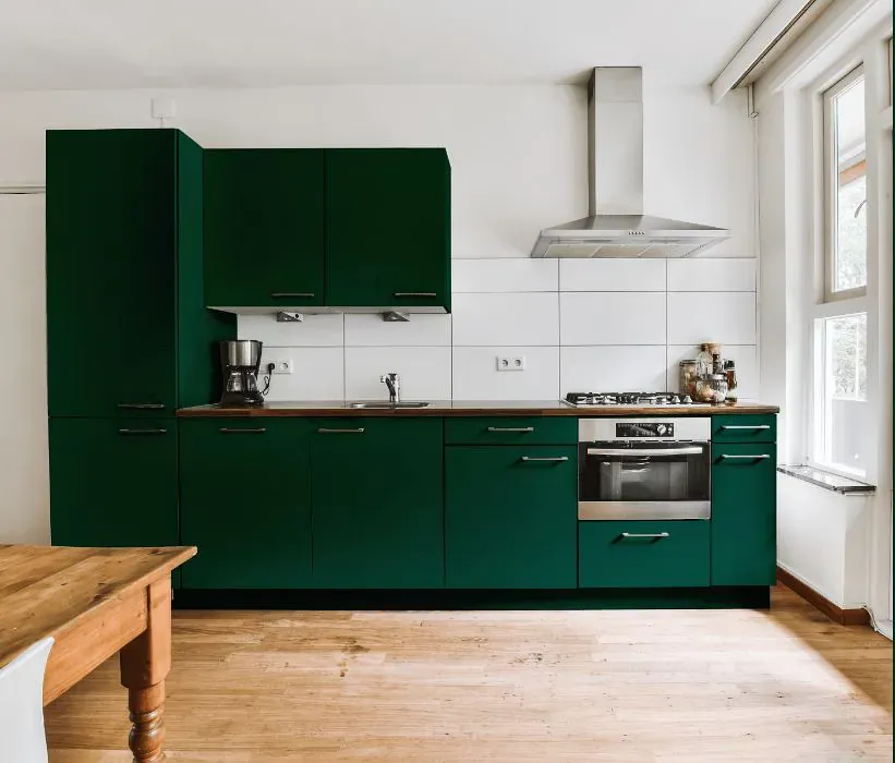 Benjamin Moore Absolute Green kitchen cabinets