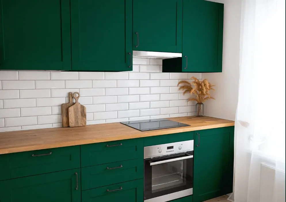 Benjamin Moore Absolute Green kitchen cabinets