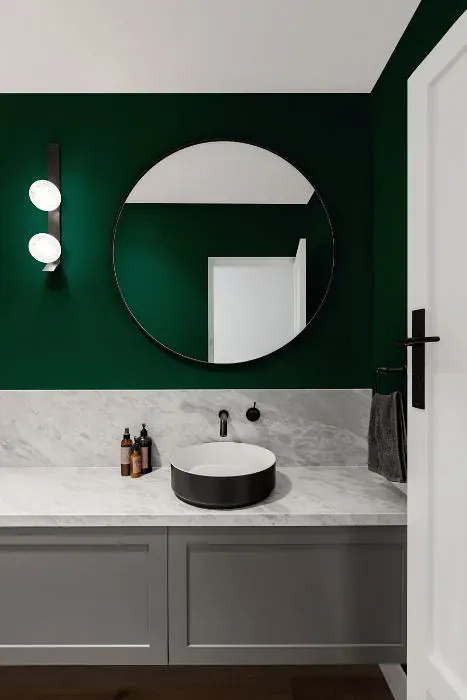 Benjamin Moore Absolute Green minimalist bathroom