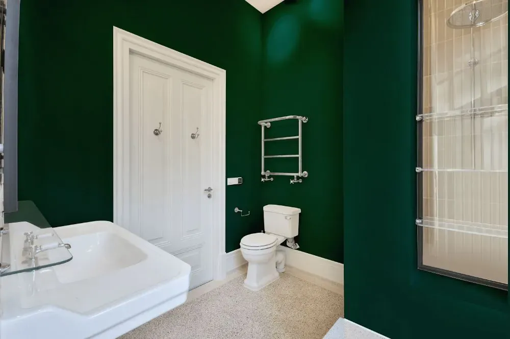 Benjamin Moore Absolute Green bathroom