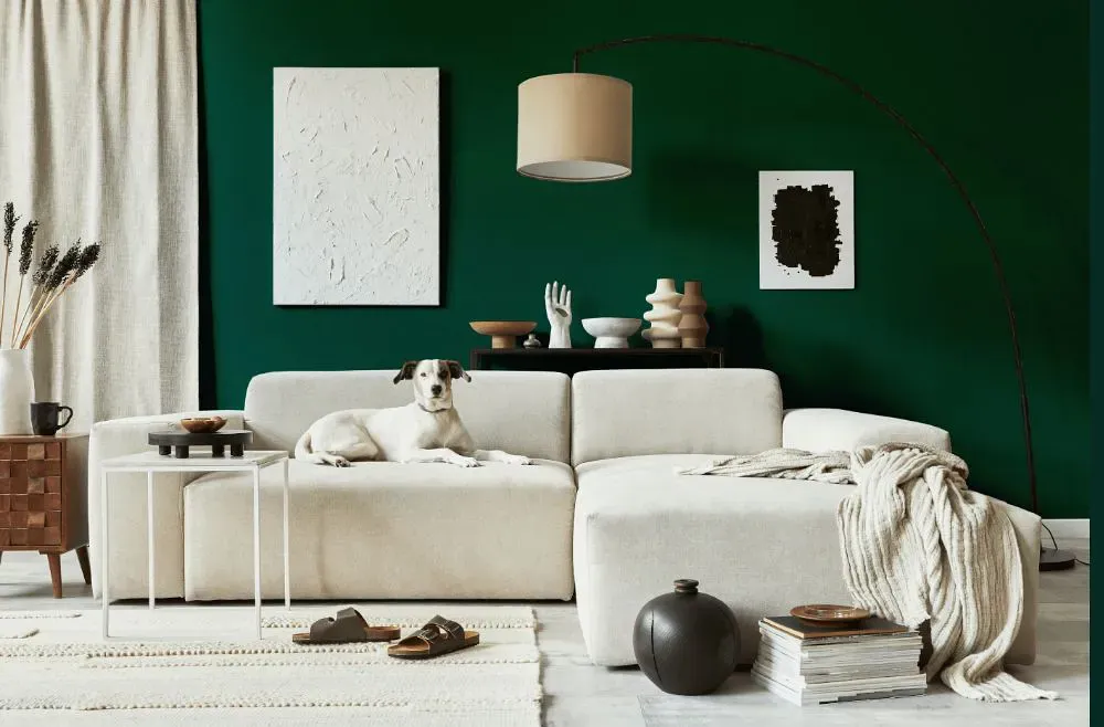 Benjamin Moore Absolute Green cozy living room