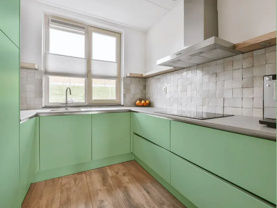 Benjamin Moore Acadia Green small kitchen cabinets