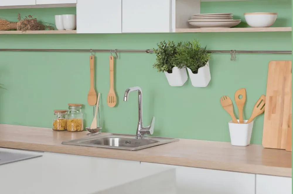 Benjamin Moore Acadia Green kitchen backsplash