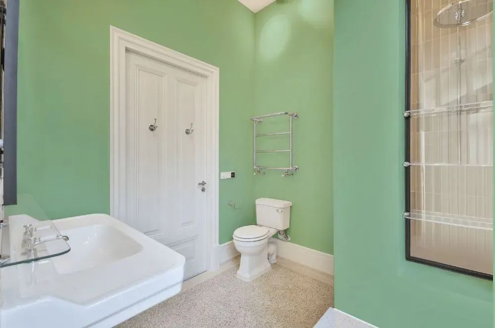 Benjamin Moore Acadia Green bathroom