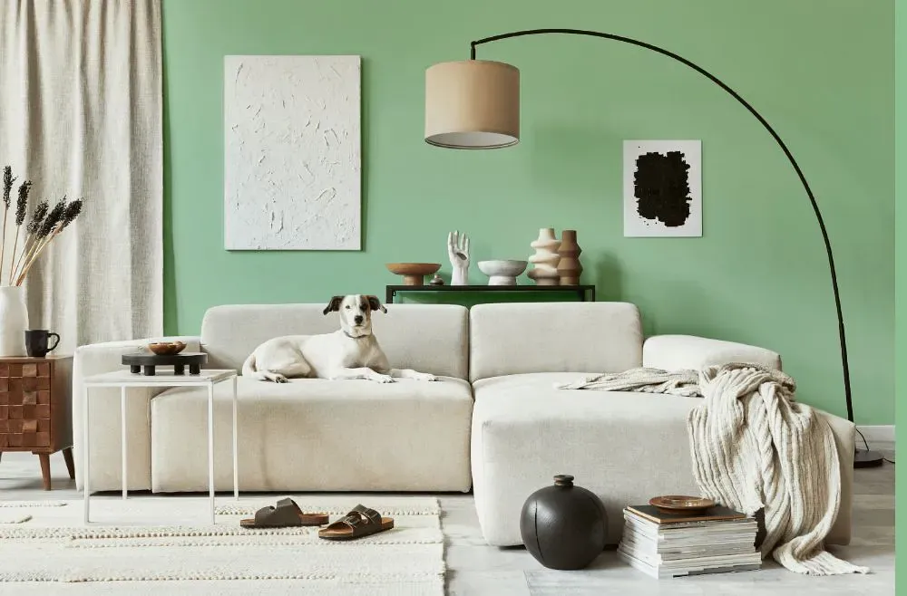Benjamin Moore Acadia Green cozy living room
