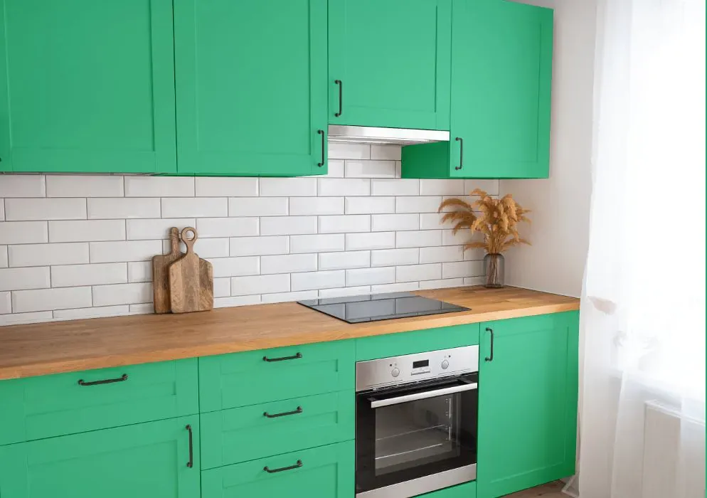 Benjamin Moore Adam Green kitchen cabinets