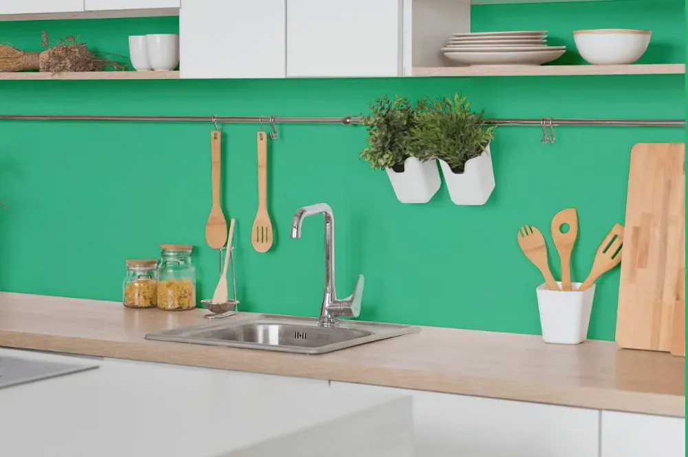 Benjamin Moore Adam Green kitchen backsplash