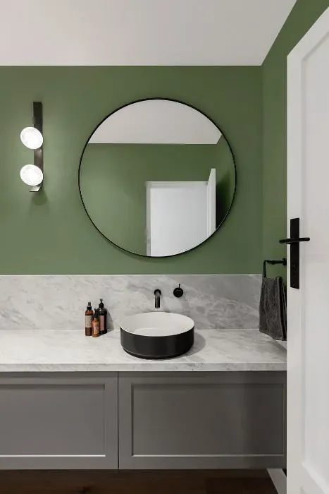 Benjamin Moore Adirondack Green minimalist bathroom