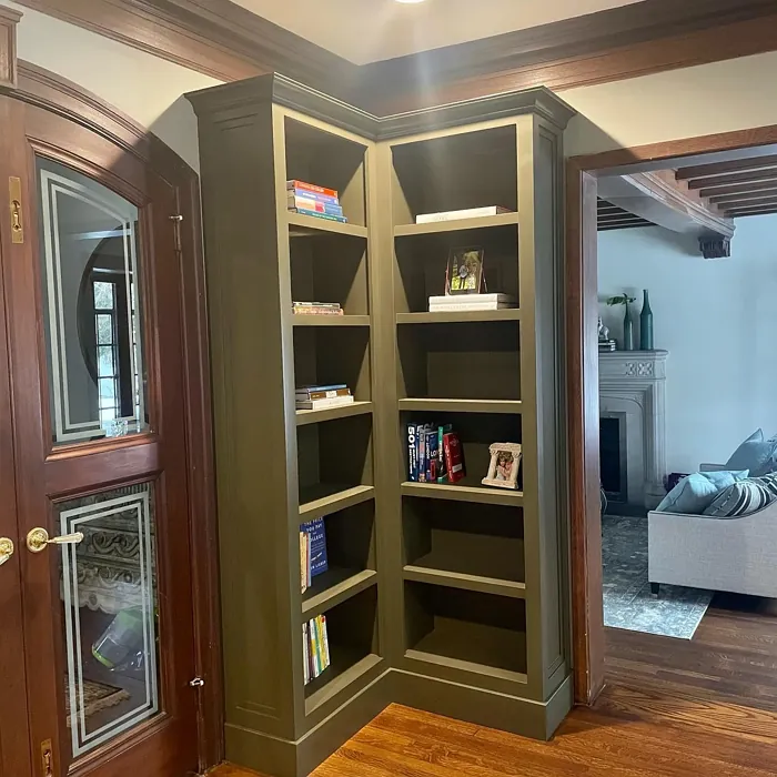 Benjamin Moore Aegean Olive painted storage 