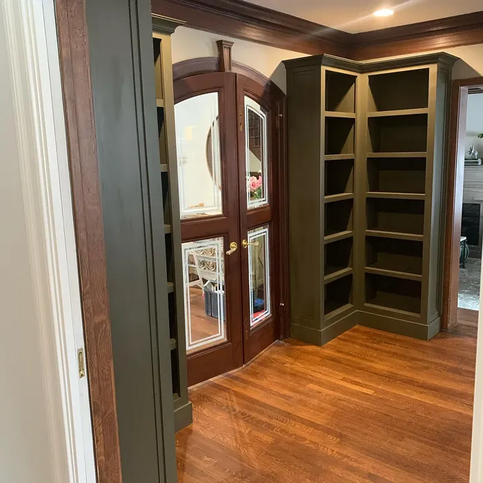 Benjamin Moore Aegean Olive painted storage color