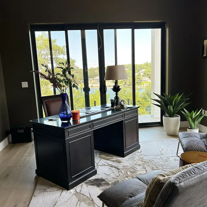 Benjamin Moore Aegean Olive home office color